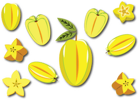 Starfruit vector