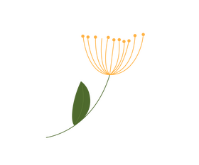 Flower free clipart