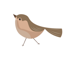 Cartoon bird clipart