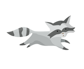 Raccoon forest animal clipart