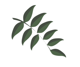 Free tree branch clipart