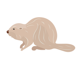 Beaver clipart