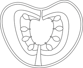 Cut in Half Tomato black and white clipart