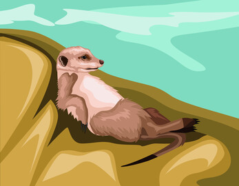 Cute meerkat animal vector image