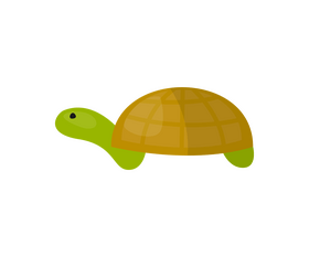 Cartoon turtle clipart