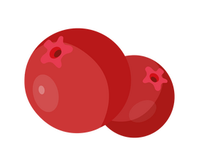 Red berries illustration clipart