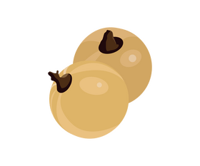 White currant clipart