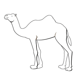 Camel black and white clipart