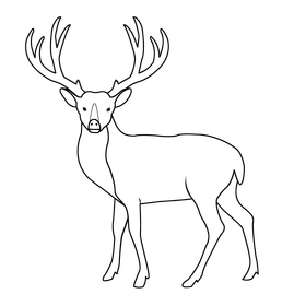 Deer black and white clipart