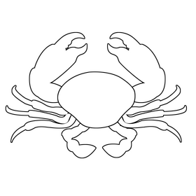 Crab drawing black and white clipart free download