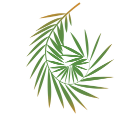 Cartoon palm leaf clipart