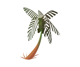 Palm tree drawing clipart