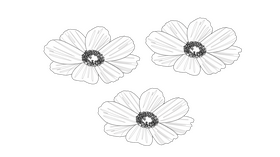 3 Flowers black and white clipart