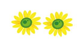 2 Sunflowers clipart