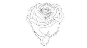 Rose black and white clipart