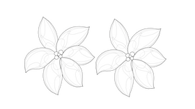 Lily black and white clipart
