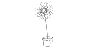Sunflower in Pot black and white clipart