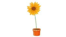 Sunflower in Pot clipart
