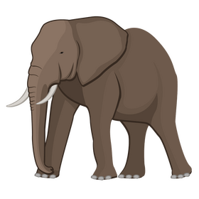 Elephant Clipart free download