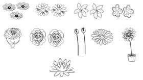 Flowers black and white vector