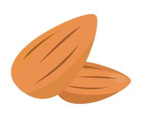 Almond nuts clipart