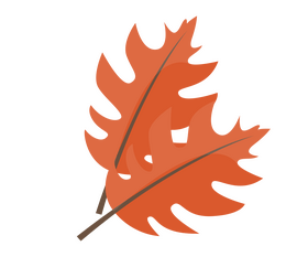 Fall leaves drawing clipart