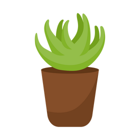 Ariocarpus cactus clipart