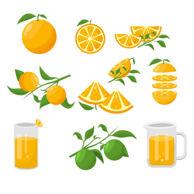 Orange set vector