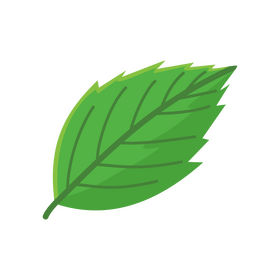 Strawberry leaf clipart