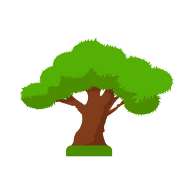 Dracaena draco tree clipart