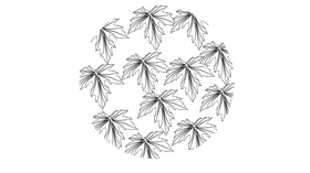 Circle Ivy black and white clipart