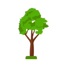 Tilia tree clipart