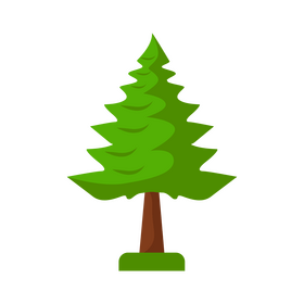 Spruce tree clipart