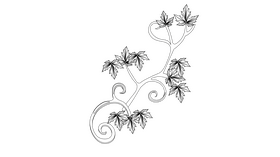 Curly Branches Ivy black and white clipart
