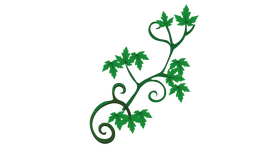 Curly Branches Ivy clipart