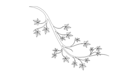 Ivy Branch black and white clipart
