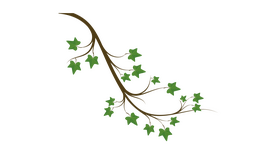 Ivy Branch clipart