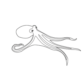Octopus black and white clipart