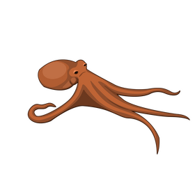 Octopus clipart