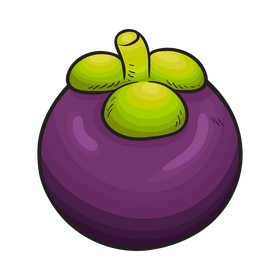 Mangosteen clipart