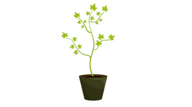 Ivy Plant in Flower Pot clipart