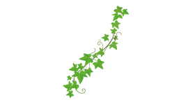 Simple Ivy Leaf clipart