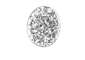 Kiwi black and white clipart