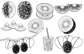 Kiwi black and white vector
