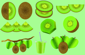 Kiwi vector