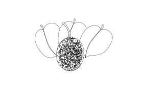 Kiwi with Leaves black and white clipart