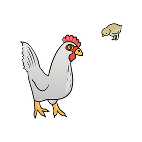 Chicken clipart