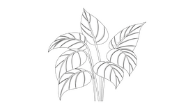 Poplar Tree Leaves black and white clipart