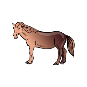 Horse clipart