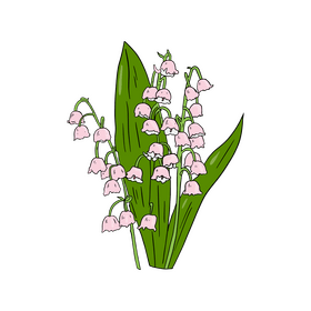 Lily of the Valley clipart